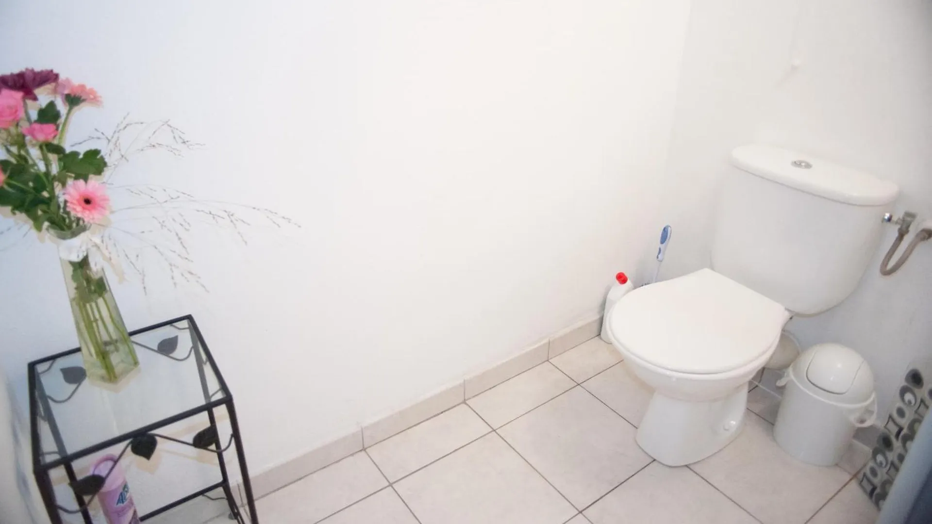 Palais Alexandra Apartment Antibes